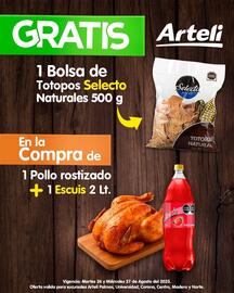 Catálogo Arteli express Página 2