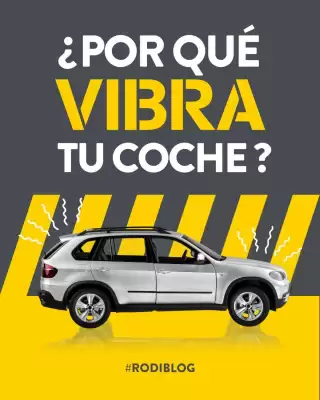 Folleto Rodi (válido hasta el 11-10)