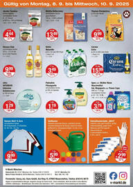 V Markt Prospekt woche 36 Seite 20