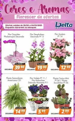Catálogo Delta Supermercados (válido até 4-09)