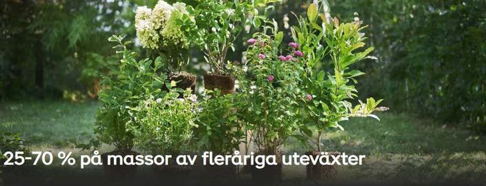 Plantagen reklamblad Sida 1