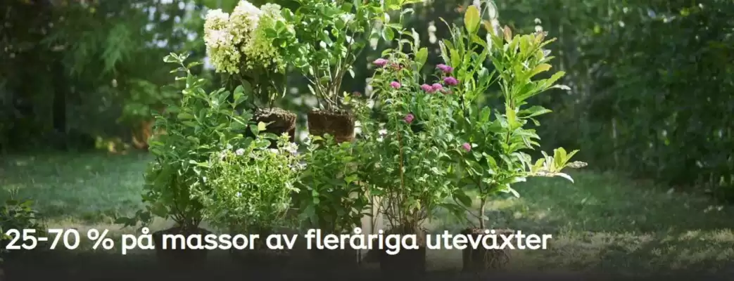 Plantagen reklamblad (giltig till och med 12-09)