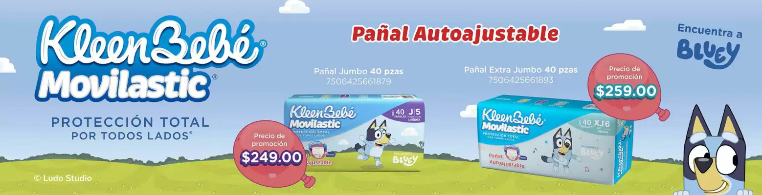 Catálogo Farmacon (válido hasta 31-08)