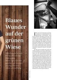 Transgourmet Flugblatt Seite 57