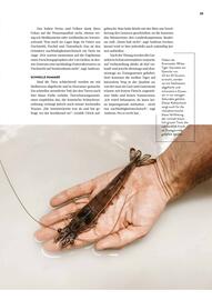 Transgourmet Flugblatt Seite 61