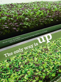 Waitrose leaflet Page 82