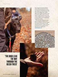 Waitrose leaflet Page 88