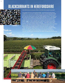 Waitrose leaflet Page 89