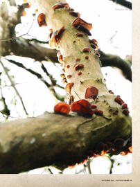 Waitrose leaflet Page 91