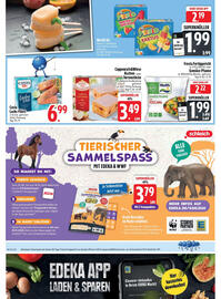 Edeka Prospekt woche 36 Seite 12