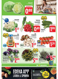 Edeka Prospekt woche 36 Seite 7