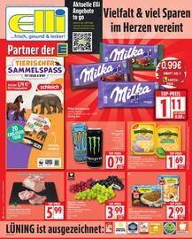 Elli Markt Prospekt woche 36 Seite 1