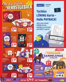 Elli Markt Prospekt woche 36 Seite 11
