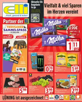 Elli Markt Prospekt (gültig bis 6-09)