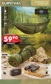 Biedronka gazetka Strona 41