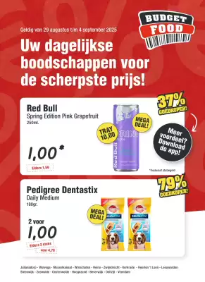 Budget Food folder (geldig t/m 4-09)