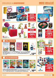Libro Flugblatt Seite 13