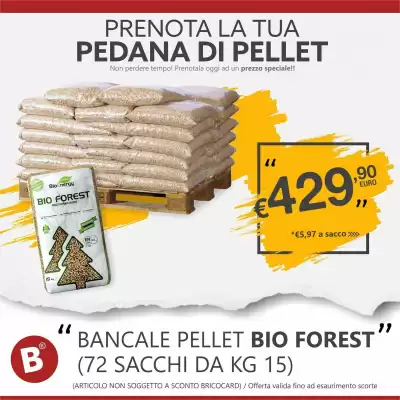 Volantino BricoCity (valido fino al 7-09)