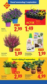 Lidl folder week 36 Pagina 29
