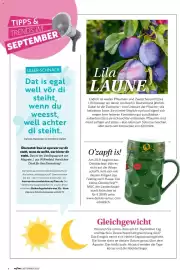 Combi Prospekt Seite 6