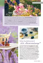 Combi Prospekt Seite 65