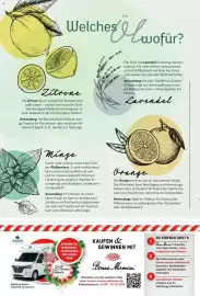 Combi Prospekt Seite 66