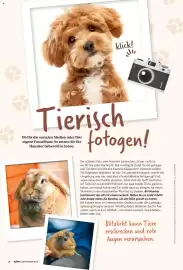 Combi Prospekt Seite 68