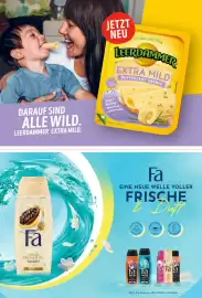 Combi Prospekt Seite 95