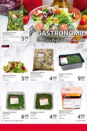 Selgros Prospekt woche 36 Seite 24
