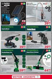 Selgros Prospekt woche 36 Seite 25
