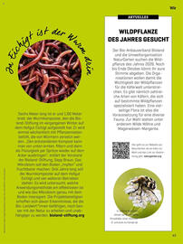 Biomarkt Prospekt Seite 45