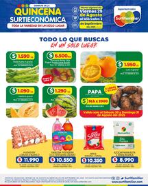 Catálogo Surtifamiliar semana 35 Página 2