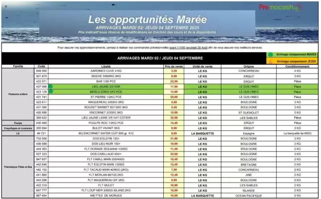 Catalogue Promocash (valable jusqu'au 4-09)