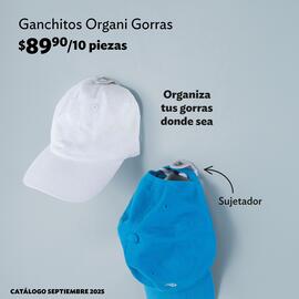 Catálogo BetterWare semana 35 Página 4