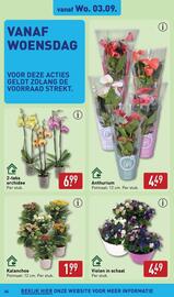 ALDI folder week 36 Pagina 34