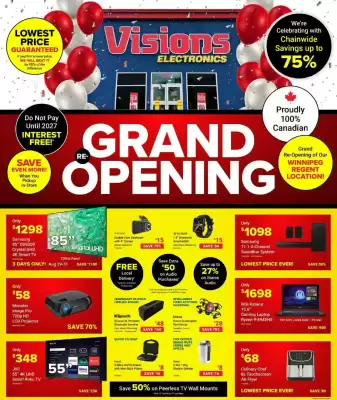 Visions Electronics flyer