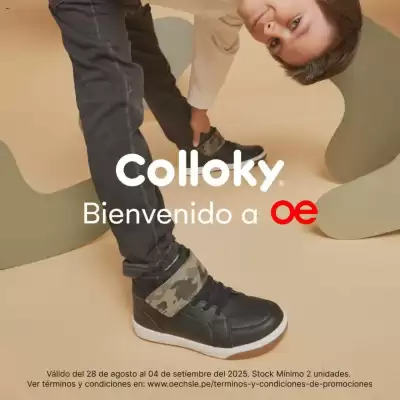 Catálogo Oechsle (válido hasta 4-09)
