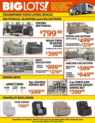 Big Lots Weekly Ad (valid until 4-09)