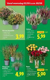 Lidl folder week 36 Pagina 29