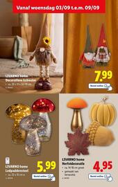 Lidl folder week 36 Pagina 41