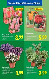 Lidl folder week 36 Pagina 57