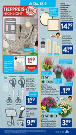 Aldi Süd Prospekt woche 38 Seite 13