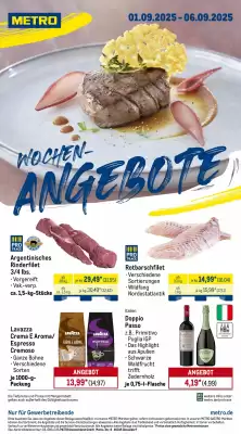 METRO Prospekt (gültig bis 6-09)