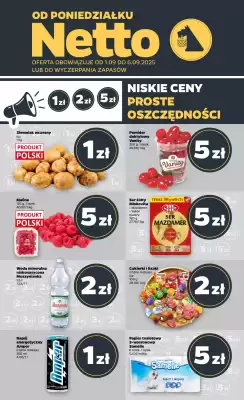 Netto gazetka (ważność do 6-09)