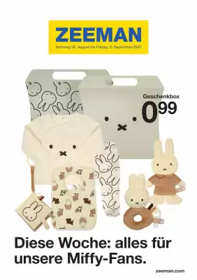 Zeeman Flugblatt