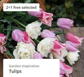 Crocus leaflet week 35 Page 2