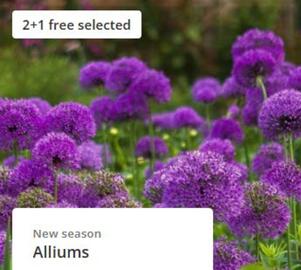 Crocus leaflet week 35 Page 3