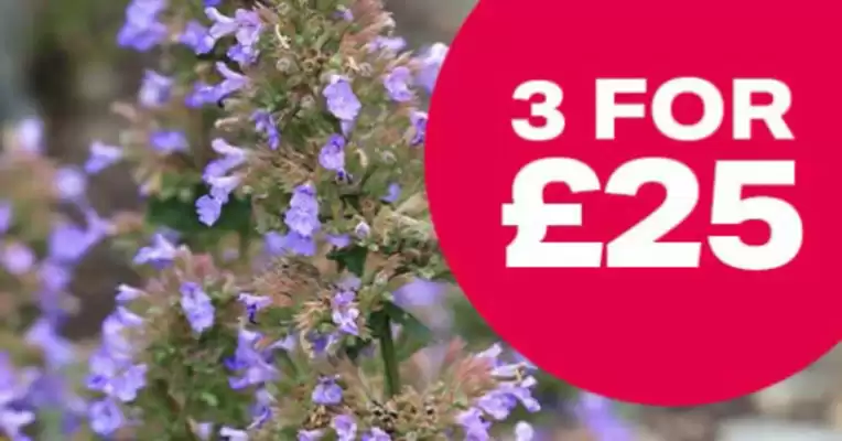 Webbs leaflet (valid until 16-09)
