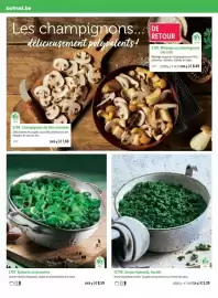 Bofrost folder Pagina 28