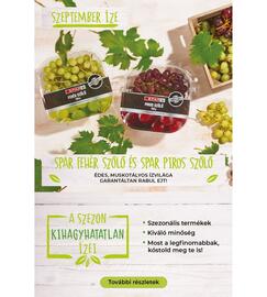 Interspar akciós újság hét 36 Oldal 34